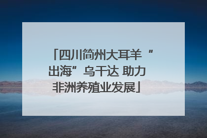 四川简州大耳羊“出海”乌干达 助力非洲养殖业发展