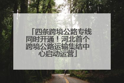 四条跨境公路专线同时开通！河北首个跨境公路运输集结中心启动运营