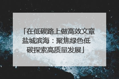 在低碳路上做高效文章 盐城滨海：聚焦绿色低碳探索高质量发展