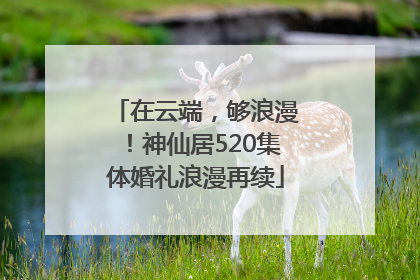 在云端，够浪漫！神仙居520集体婚礼浪漫再续