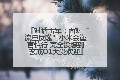 对话雷军：面对“流量反噬”小米会谨言慎行 完全没想到玄戒O1大受欢迎
