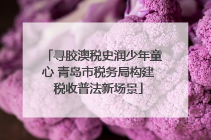 寻胶澳税史润少年童心 青岛市税务局构建税收普法新场景