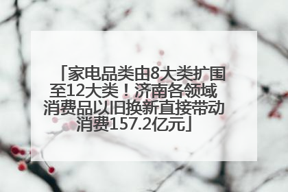 家电品类由8大类扩围至12大类！济南各领域消费品以旧换新直接带动消费157.2亿元