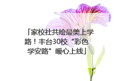 家校社共绘最美上学路！丰台30校“彩色学安路”暖心上线