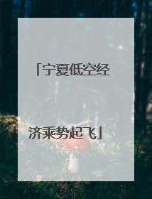 宁夏低空经济乘势起飞