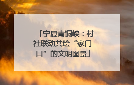宁夏青铜峡：村社联动共绘“家门口”的文明图景