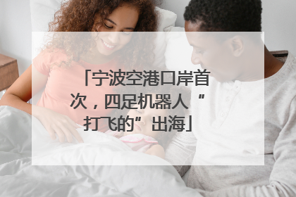 宁波空港口岸首次，四足机器人“打飞的”出海