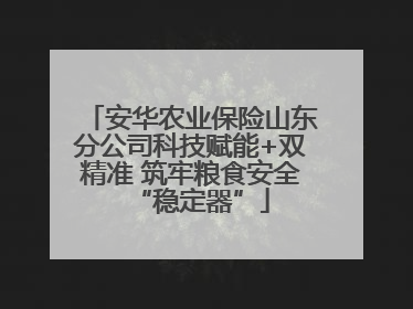 安华农业保险山东分公司科技赋能+双精准 筑牢粮食安全“稳定器”