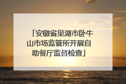 安徽省巢湖市卧牛山市场监管所开展自助餐厅监督检查