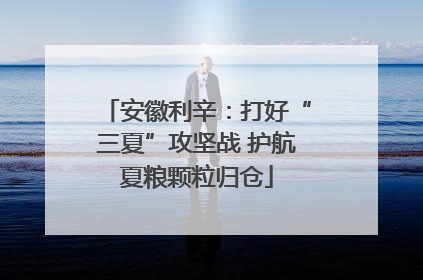 安徽利辛：打好“三夏”攻坚战 护航夏粮颗粒归仓