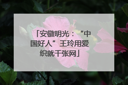 安徽明光：“中国好人”王玲用爱织就千张网