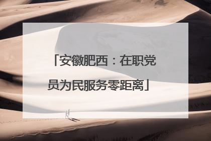 安徽肥西：在职党员为民服务零距离