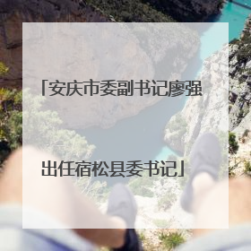 安庆市委副书记廖强出任宿松县委书记