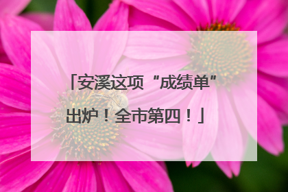 安溪这项“成绩单”出炉！全市第四！