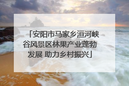 安阳市马家乡洹河峡谷风景区林果产业蓬勃发展 助力乡村振兴