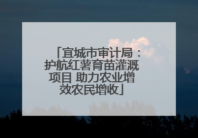 宜城市审计局：护航红薯育苗灌溉项目 助力农业增效农民增收