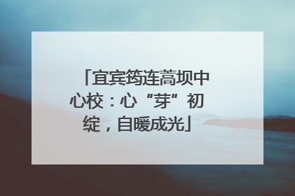 宜宾筠连蒿坝中心校：心“芽”初绽，自暖成光