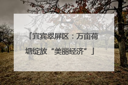 宜宾翠屏区：万亩荷塘绽放“美丽经济”