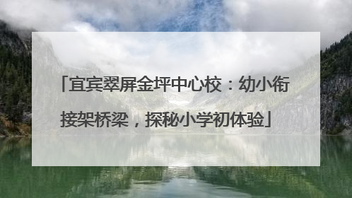 宜宾翠屏金坪中心校：幼小衔接架桥梁，探秘小学初体验