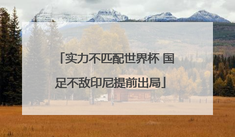 实力不匹配世界杯 国足不敌印尼提前出局
