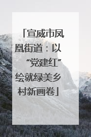 宣威市凤凰街道：以“党建红”绘就绿美乡村新画卷