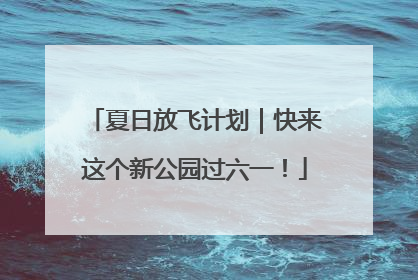 夏日放飞计划｜快来这个新公园过六一！