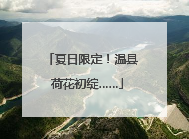 夏日限定！温县荷花初绽……