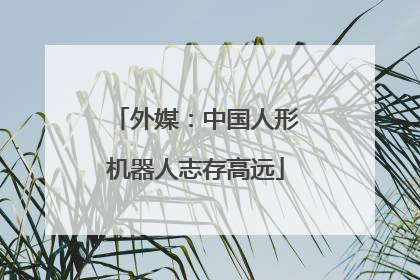 外媒：中国人形机器人志存高远