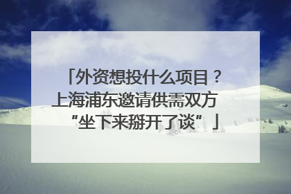 外资想投什么项目？上海浦东邀请供需双方“坐下来掰开了谈”
