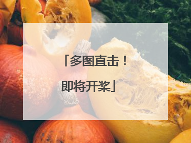 多图直击！即将开桨