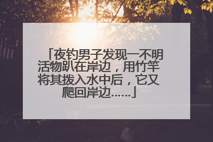 夜钓男子发现一不明活物趴在岸边，用竹竿将其拨入水中后，它又爬回岸边……