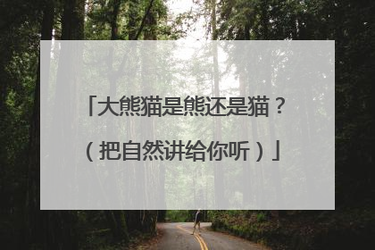 大熊猫是熊还是猫？（把自然讲给你听）