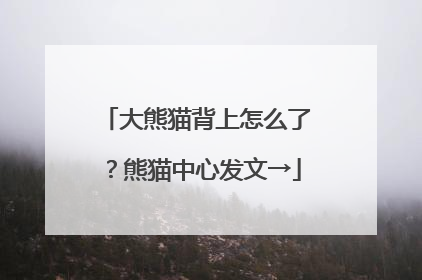 大熊猫背上怎么了？熊猫中心发文→