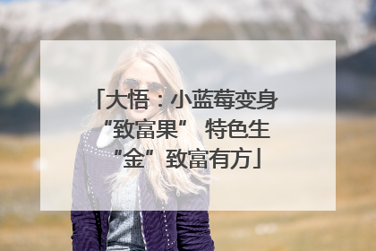 大悟：小蓝莓变身“致富果” 特色生“金”致富有方