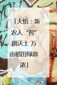 大悟：新农人“智”耕沃土 万亩稻田绿意浓