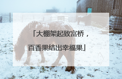 大棚架起致富桥，百香果结出幸福果
