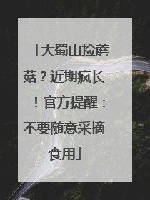 大蜀山捡蘑菇？近期疯长！官方提醒：不要随意采摘食用