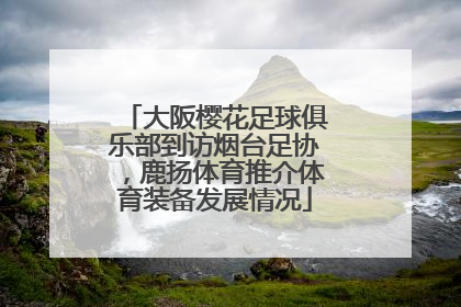 大阪樱花足球俱乐部到访烟台足协，鹿扬体育推介体育装备发展情况