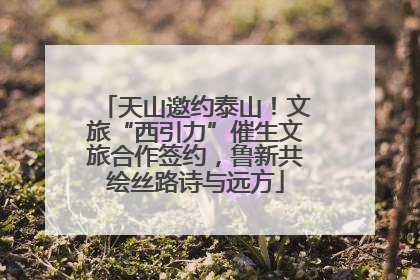 天山邀约泰山！文旅“西引力”催生文旅合作签约，鲁新共绘丝路诗与远方