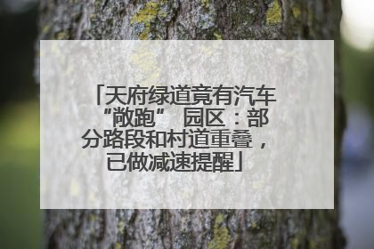 天府绿道竟有汽车“敞跑” 园区：部分路段和村道重叠，已做减速提醒