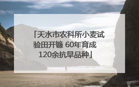 天水市农科所小麦试验田开镰 60年育成120余抗旱品种