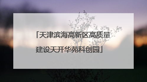 天津滨海高新区高质量建设天开华苑科创园