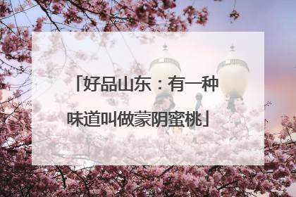 好品山东：有一种味道叫做蒙阴蜜桃