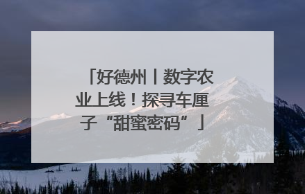 好德州丨数字农业上线！探寻车厘子“甜蜜密码”
