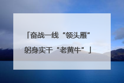 奋战一线“领头雁” 躬身实干“老黄牛”