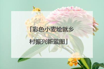 彩色小麦绘就乡村振兴新蓝图