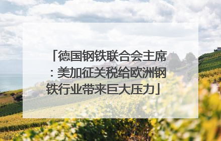 德国钢铁联合会主席：美加征关税给欧洲钢铁行业带来巨大压力