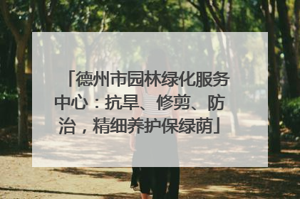 德州市园林绿化服务中心：抗旱、修剪、防治，精细养护保绿荫
