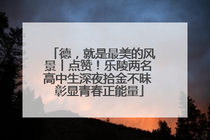 德，就是最美的风景丨点赞！乐陵两名高中生深夜拾金不昧 彰显青春正能量