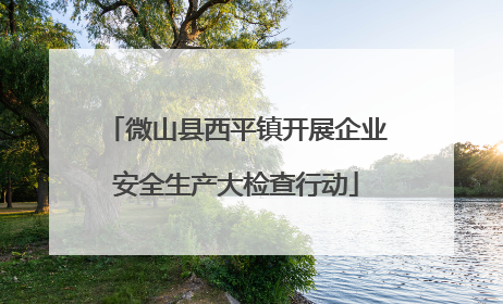 微山县西平镇开展企业安全生产大检查行动
